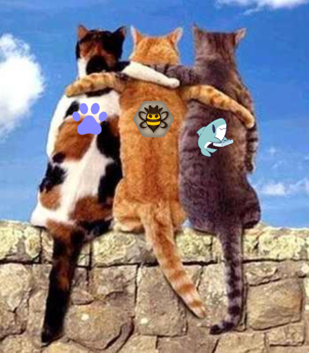 3 cats with arms extended across each others' backs "Pawb.social, Blahaj.zone and Beehaw.org"